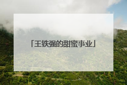 王铁强的甜蜜事业