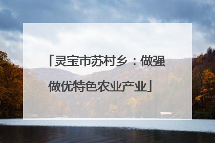 灵宝市苏村乡：做强做优特色农业产业
