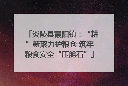 炎陵县霞阳镇：“耕”新聚力护粮仓 筑牢粮食安全“压舱石”