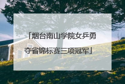 烟台南山学院女乒勇夺省锦标赛三项冠军