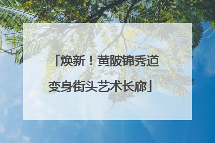 焕新！黄陂锦秀道变身街头艺术长廊