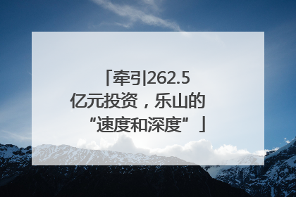 牵引262.5亿元投资，乐山的“速度和深度”