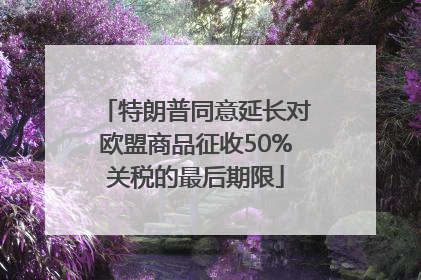 特朗普同意延长对欧盟商品征收50%关税的最后期限