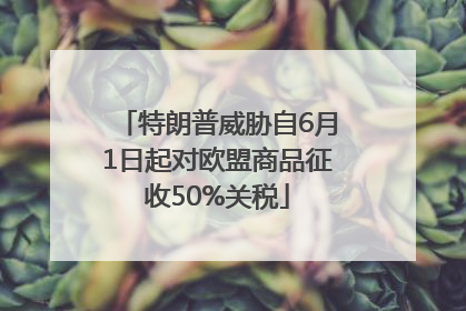 特朗普威胁自6月1日起对欧盟商品征收50%关税