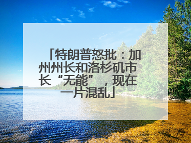 特朗普怒批：加州州长和洛杉矶市长“无能”，现在一片混乱