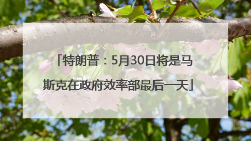 特朗普：5月30日将是马斯克在政府效率部最后一天