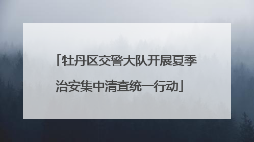 牡丹区交警大队开展夏季治安集中清查统一行动