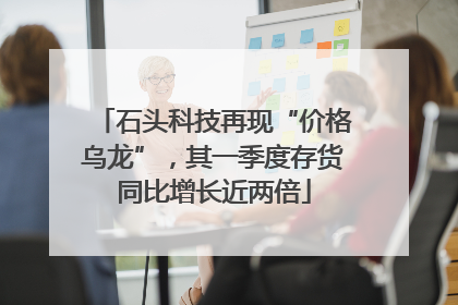 石头科技再现“价格乌龙”，其一季度存货同比增长近两倍