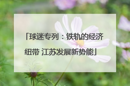 球迷专列：铁轨的经济纽带 江苏发展新势能