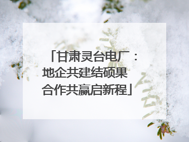 甘肃灵台电厂：地企共建结硕果 合作共赢启新程