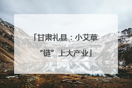 甘肃礼县：小艾草“链”上大产业