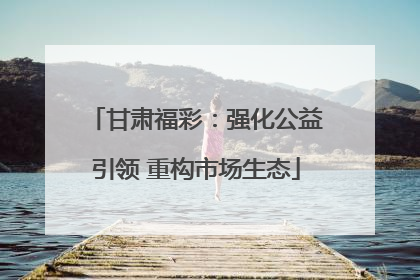 甘肃福彩：强化公益引领 重构市场生态