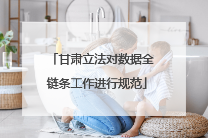 甘肃立法对数据全链条工作进行规范