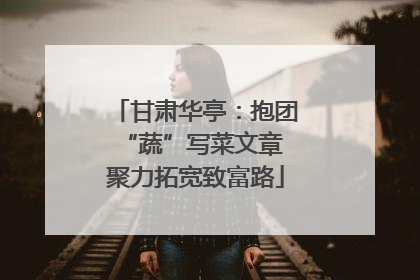 甘肃华亭：抱团“蔬”写菜文章 聚力拓宽致富路