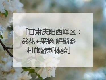 甘肃庆阳西峰区：赏花+采摘 解锁乡村旅游新体验
