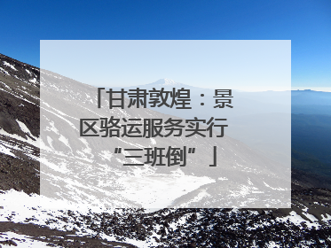 甘肃敦煌：景区骆运服务实行“三班倒”
