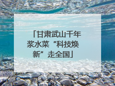 甘肃武山千年浆水菜“科技焕新”走全国