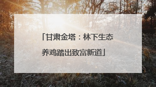 甘肃金塔：林下生态养鸡踏出致富新道