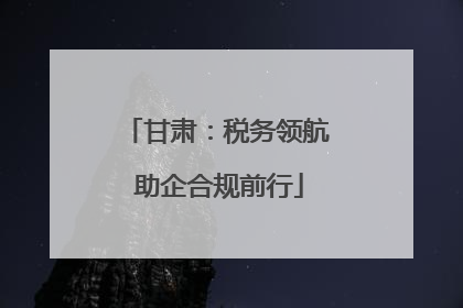 甘肃：税务领航 助企合规前行