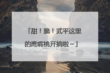 甜！脆！武平这里的鹰嘴桃开摘啦～