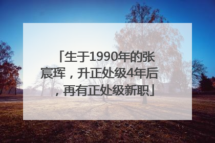 生于1990年的张宸珲，升正处级4年后，再有正处级新职