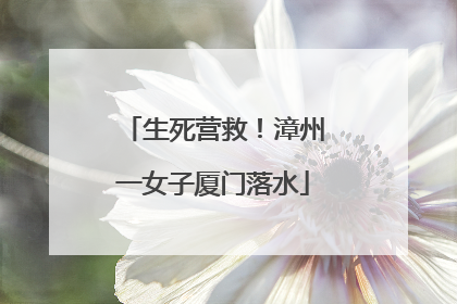 生死营救！漳州一女子厦门落水