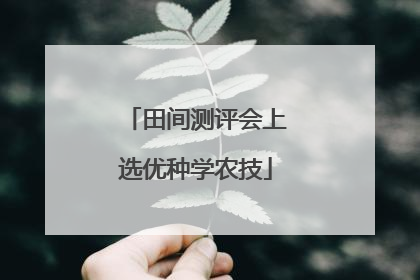 田间测评会上选优种学农技
