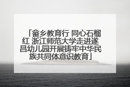 畲乡教育行 同心石榴红 浙江师范大学走进遂昌幼儿园开展铸牢中华民族共同体意识教育