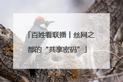 百姓看联播丨丝网之都的“共享密码”
