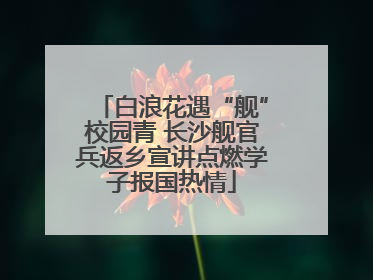 白浪花遇“舰”校园青 长沙舰官兵返乡宣讲点燃学子报国热情