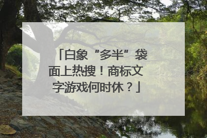 白象“多半”袋面上热搜！商标文字游戏何时休？