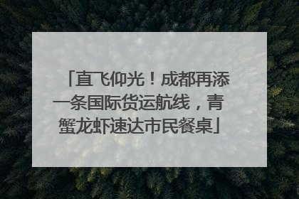 直飞仰光！成都再添一条国际货运航线，青蟹龙虾速达市民餐桌