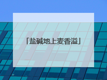 盐碱地上麦香溢