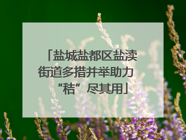 盐城盐都区盐渎街道多措并举助力“秸”尽其用