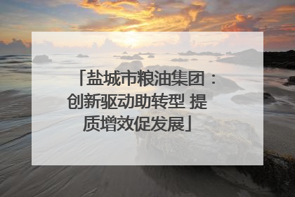 盐城市粮油集团：创新驱动助转型 提质增效促发展