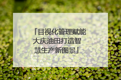 目视化管理赋能 大庆油田打造智慧生产新图景
