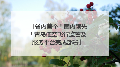 省内首个！国内领先！青岛低空飞行监管及服务平台完成部署