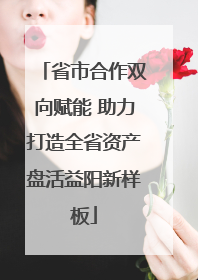 省市合作双向赋能 助力打造全省资产盘活益阳新样板