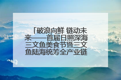 破浪向鲜 链动未来——首届日照深海三文鱼美食节暨三文鱼陆海统筹全产业链发展会议嘉宾访谈