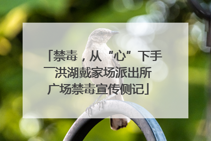 禁毒，从“心”下手――洪湖戴家场派出所广场禁毒宣传侧记