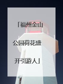 福州金山公园荷花盛开引游人