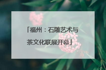 福州：石雕艺术与茶文化联展开幕