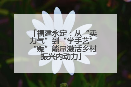 福建永定：从“卖力气”到“学手艺”“赈”能量激活乡村振兴内动力