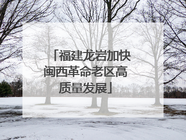 福建龙岩加快闽西革命老区高质量发展