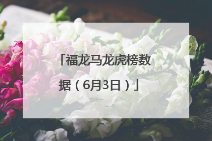 福龙马龙虎榜数据（6月3日）