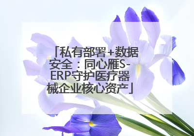 私有部署+数据安全:同心雁S-ERP守护医疗器械企业核心资产