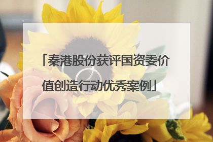 秦港股份获评国资委价值创造行动优秀案例