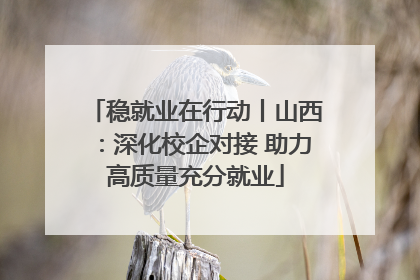 稳就业在行动丨山西：深化校企对接 助力高质量充分就业