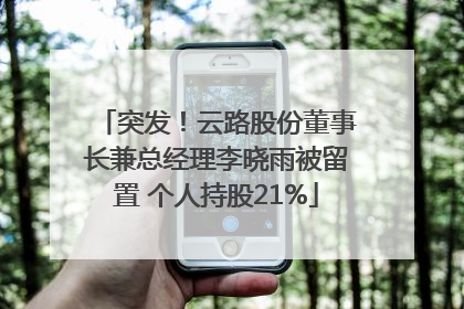 突发！云路股份董事长兼总经理李晓雨被留置 个人持股21%