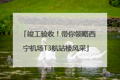 竣工验收！带你领略西宁机场T3航站楼风采